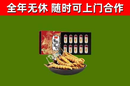 花都区烟酒回收冬虫夏草礼盒.jpg