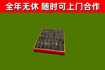 花都区回收海参